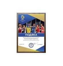 Диплом А4 Федерація боксу України