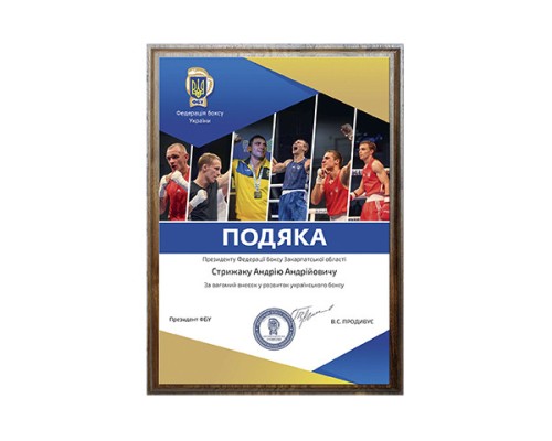 Диплом А4 Федерація боксу України