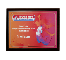 Диплом 200*250мм SPORT LIFE