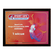 Диплом 200*250мм SPORT LIFE