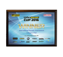 Диплом гравертон 200 мм 250 мм