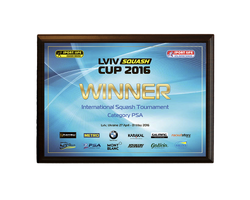 Диплом гравертон 200 мм 250 мм