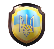 Диплом у формі щита 300*200 мм