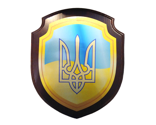 Диплом у формі щита 300*200 мм