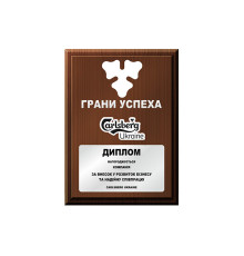 Плакетка нагородна 305 мм 220 мм