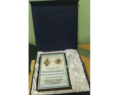 Диплом А4 для Динамо