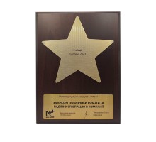 Диплом гравертон 300x220 мм