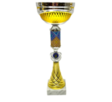 Приз кубок спортивний