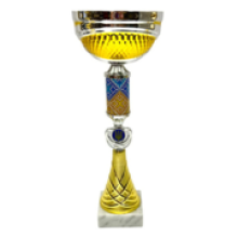 Приз кубок спортивний